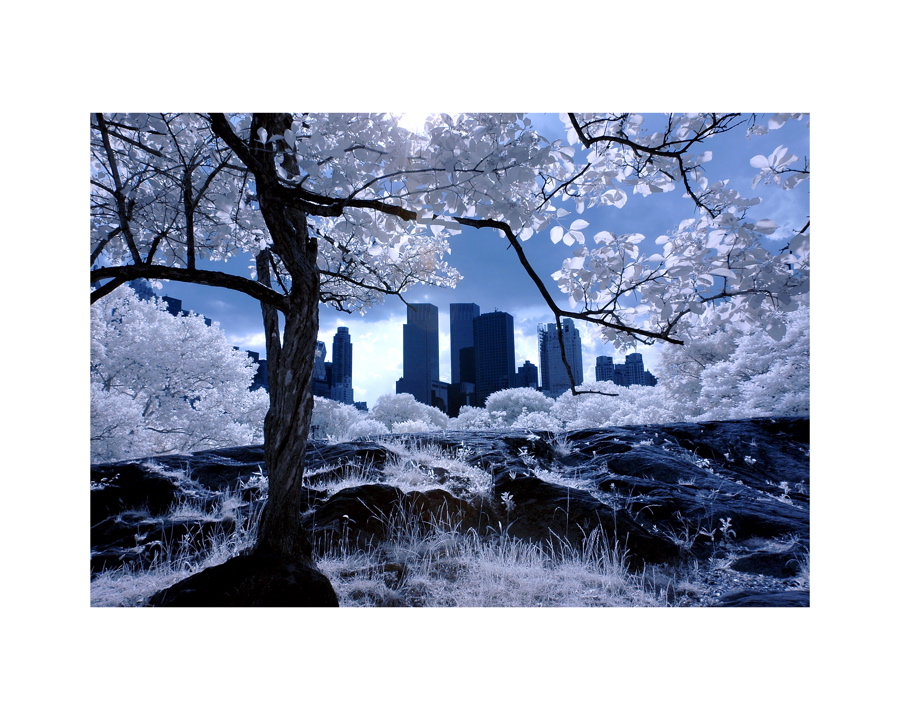 skyline