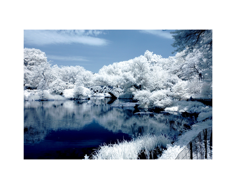parklake