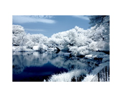 parklake