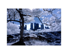 skyline